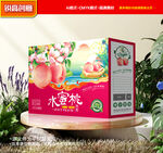 水蜜桃包装 桃子礼盒