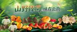 野生菌广告