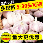 大蒜