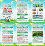 2026年世界环境日海报