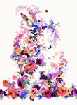 花鸟定位