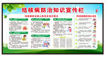 结核病防治知识宣传栏