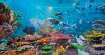 海底世界 海洋 装饰画 JPG