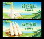茭白