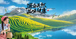 茶园风景画