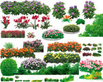 花草