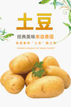 土豆