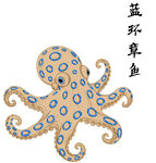 蓝环章鱼插画图案 矢量图