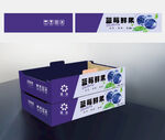 蓝莓包装盒设计效果图