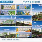 中药种植文化基地