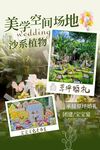 草坪婚礼海报