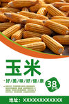 玉米