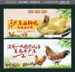 广东白斩鸡