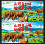 黄牛
