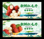 红毛丹