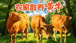 黄牛海报