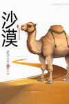 沙漠旅游