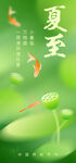 夏至时节绿意浓