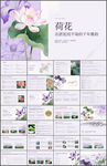 出淤泥而不染荷花主题PPT课件