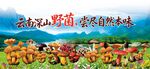 云南野生菌