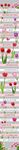 一路生花郁金香