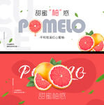 红柚水果banner