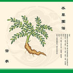 手绘本草纲目苦参图