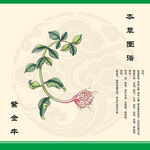 紫金牛植物图案