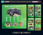 黑猪海报