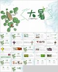 大暑节气PPT模板展示
