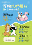 宠物洗护福利海报