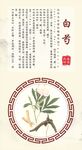 浙八味传统中药白芍展示图