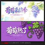 葡萄采摘节