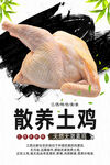 新鲜鸡肉