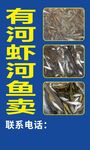 河虾河鱼售卖