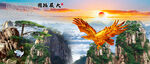 大展宏图