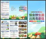 预防野生菌中毒折页