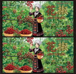 花椒展板