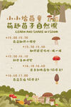 野生菌研学海报