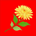 红色背景上的黄色花朵矢量菊花
