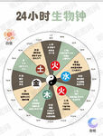24小时生物钟示意图