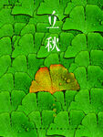 立秋海报