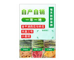 自产自销马铃瓜小黄冠西瓜天露