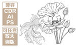 金鱼与荷花线描插画 矢量