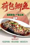 荷包鲫鱼 
