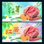 红薯