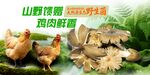 野生菌广告  