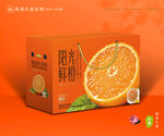 橙子包装 脐橙礼盒