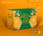 橙子包装 脐橙礼盒