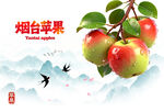 苹果